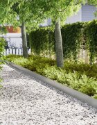 vidaXL Ограда за трева 50 бр. 100 x 0.05 x 20 см Галванизирана стомана