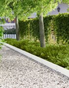 vidaXL Ограда за трева 50 бр. 100 x 20 cm Стомана Бяло