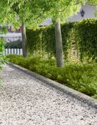 vidaXL Ограда за трева 50 бр. 100 x 20 cm Стомана Сребристо