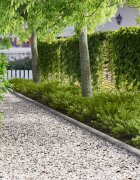vidaXL Ограда за трева 50 бр. 103 x 10 см Стомана Сребристо