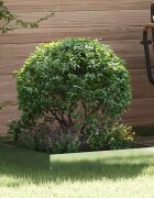 vidaXL Ограда за трева 60 x 60 x 13 см Поцинкована стомана Сребристо