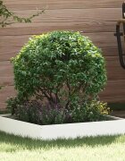 vidaXL Ограда за трева 60 x 60 x 13 см Стомана Бяло