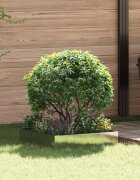 vidaXL Ограда за трева 60 x 60 x 20 см Стомана Сребристо