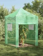 vidaXL Оранжерия с поп-ъп рамка Зелен 200 x 200 x 300 см Желязо