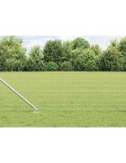 vidaXL Открит Еврейски Оград с Шипове 10 x 04 m Поцинкована стомана