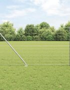 vidaXL Открит Еврейски Оград с Шипове 10 x 1 m Поцинкована стомана