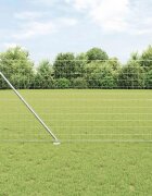 vidaXL Открит Еврейски Оград с Шипове 10 x 1 m Поцинкована стомана