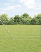 vidaXL Открит Еврейски Оград с Шипове 10 x 15 m Поцинкована стомана