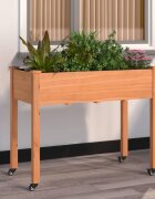 vidaXL Плантер на колела с вложка кафяв 118x59x80 см масивна ела