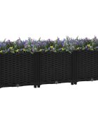 vidaXL Повдигната леха 120x40x38 см полипропилен