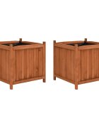 vidaXL Повдигнати лехи 2 бр 50x50x50 см чам