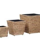 vidaXL Повдигнати лехи 3 бр воден хиацинт