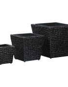 vidaXL Повдигнати лехи 3 бр воден хиацинт черни