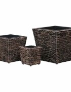 vidaXL Повдигнати лехи 3 бр воден хиацинт кафяви