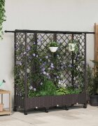 vidaXL Повдигнато легло с решетка и покривка Кафяво 164 x 40 x 127 см