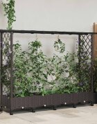 vidaXL Повдигнато легло с решетка и покривка Кафяво 203 x 40 x 127 см