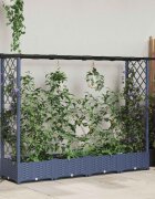 vidaXL Повдигнато легло с решетка и покривка Сиво 203 x 40 x 121 см ПП