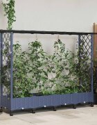 vidaXL Повдигнато легло с решетка и покривка Сиво 203 x 40 x 127 см ПП