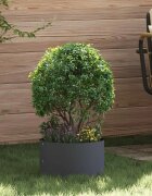 vidaXL Пръстен за саксия Антрацит 30 x 30 x 20 cm