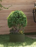 vidaXL Пръстен за саксия Маслинено зелено 30 x 30 x 20 cm