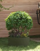 vidaXL Пръстен за саксия Маслинено зелено 40 x 40 x 20 cm