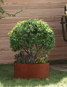 vidaXL Пръстен за саксия Ръждясало 40 x 40 x 20 cm Патинираща стомана