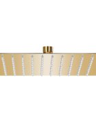 vidaXL Rainshower душ пита инокс 20x20 cм квадратна златиста