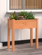 vidaXL Саксия с вложка кафява 71x37x76 см масивна ела