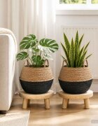vidaXL Саксия за растения с дръжки 2 бр. Черно Ø 45 x 36 см