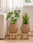 vidaXL Саксия за растения с дръжки 2 бр. Натурално Ø 22 x 20 см