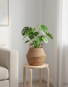 vidaXL Саксия за растения с дръжки Натурално Ø 22 x 20 см