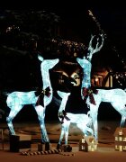 vidaXL Семейство северни елени коледна украса бяло и сребристо 201 LED