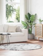 vidaXL Шаги килим с дълъг косъм NAVARRA сребристо сив 160x160 см