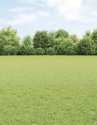 vidaXL Шестоъградно ограждение с кол 10 x 05 m Поцинкована стомана