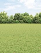 vidaXL Шестоъградно ограждение с кол 10 x 05 m ПВЦ-обработена стомана