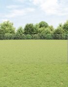 vidaXL Шестоъградно ограждение с кол 10 x 1 m Поцинкована стомана