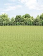 vidaXL Шестоъградно ограждение с кол 10 x 12 м Поцинкована стомана