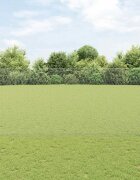 vidaXL Шестоъградно ограждение с кол 10 x 14 м Поцинкована стомана