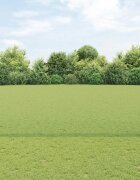 vidaXL Шестоъградно ограждение с кол 10 x 14 м ПВЦ-обработена стомана