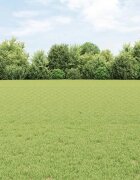 vidaXL Шестоъградно ограждение с кол 100 x 05 м Зелено Мрежа