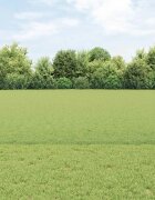 vidaXL Шестоъградно ограждение с кол 100 x 08 м Зелено Мрежа