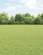 vidaXL Шестоъградно ограждение с кол 100 x 08 м Зелено Мрежа