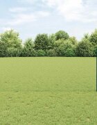 vidaXL Шестоъградно ограждение с кол 100 x 1 м ПВЦ-обработена стомана