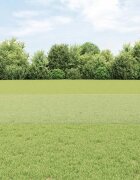 vidaXL Шестоъградно ограждение с кол 25 x 04 m Поцинкована стомана