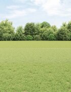 vidaXL Шестоъградно ограждение с кол 25 x 04 m Поцинкована стомана