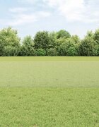 vidaXL Шестоъградно ограждение с кол 25 x 05 m Поцинкована стомана