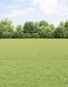 vidaXL Шестоъградно ограждение с кол 25 x 05 m ПВЦ-обработена стомана