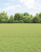 vidaXL Шестоъградно ограждение с кол 25 x 08 m ПВЦ-обработена стомана