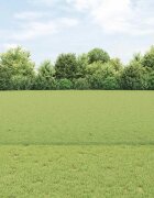 vidaXL Шестоъградно ограждение с кол 25 x 1 m ПВЦ-обработена стомана