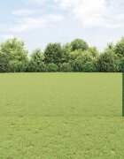 vidaXL Шестоъградно ограждение с кол 25 x 1 m ПВЦ-обработена стомана
